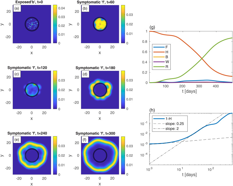 Fig 10