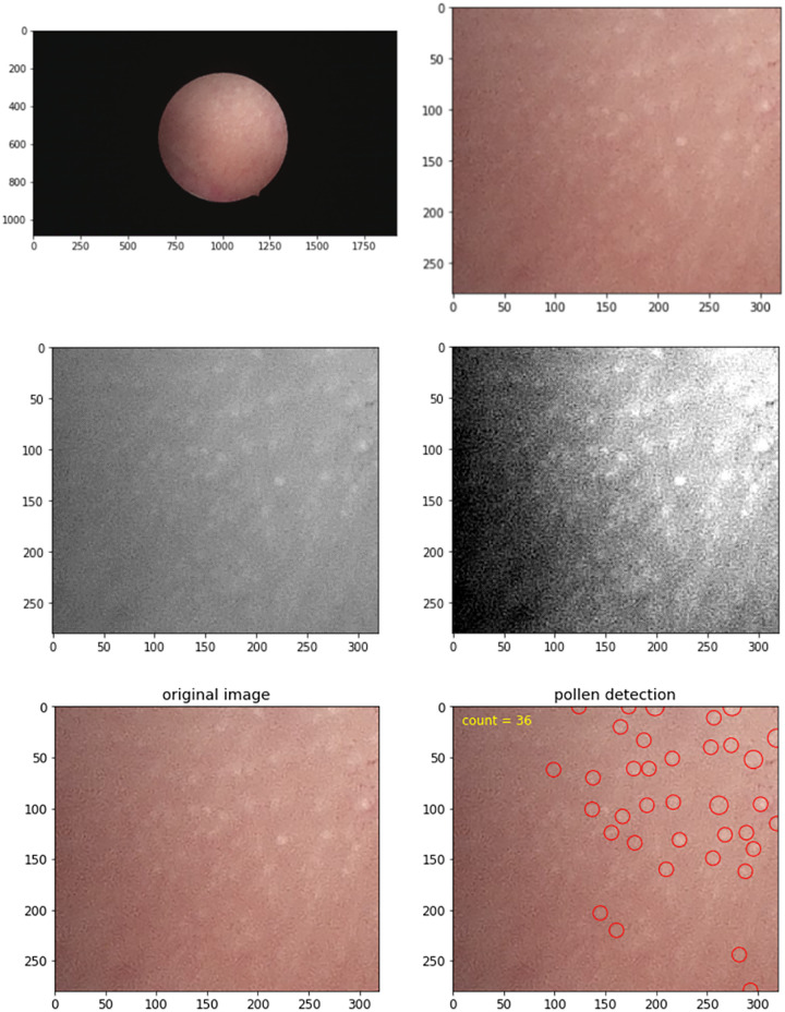 Figure 2.