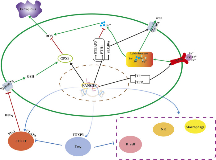 FIGURE 10