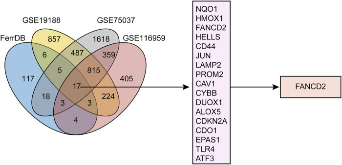 FIGURE 1