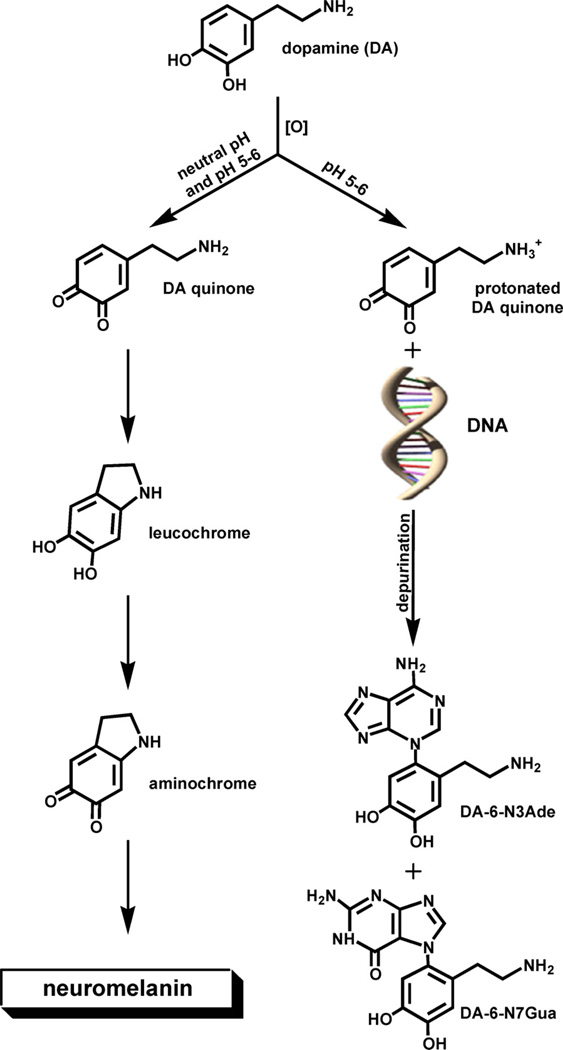 Fig. 10