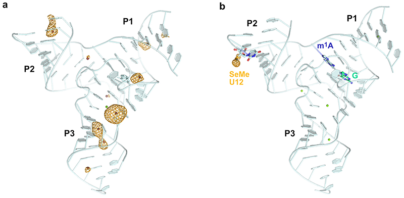 Extended Data Fig. 1