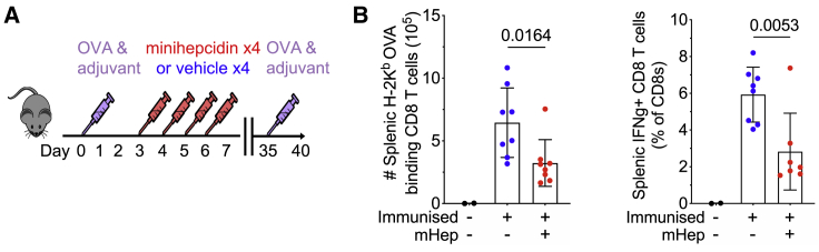 Figure 5