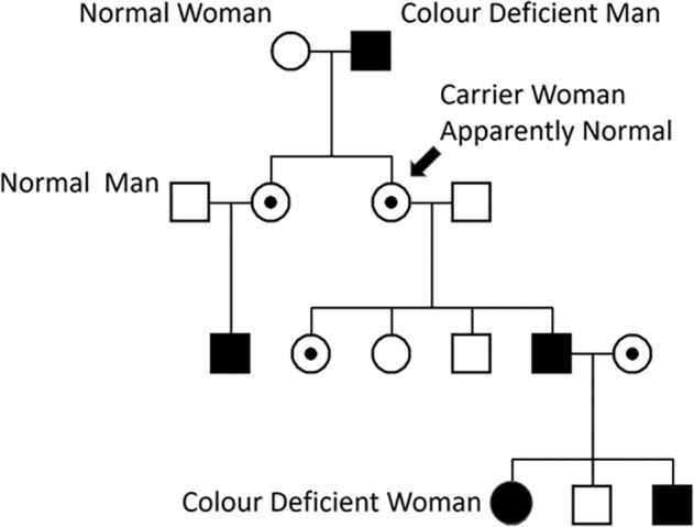 Fig. 13