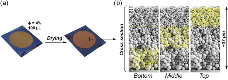 Fig. 8