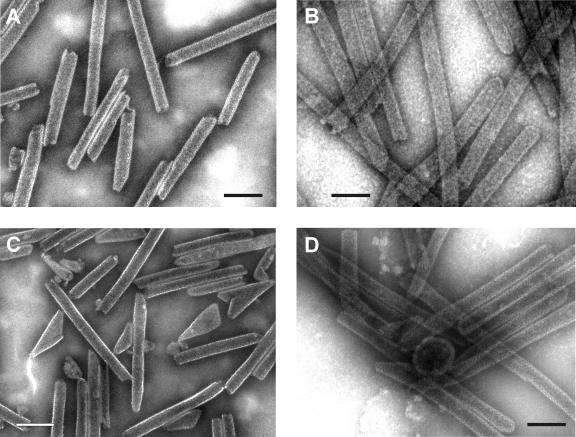 FIG. 7.