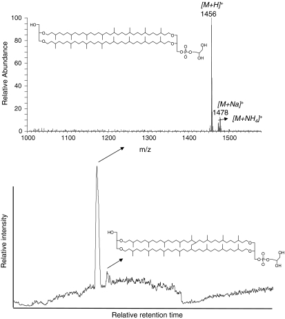 Fig. 2