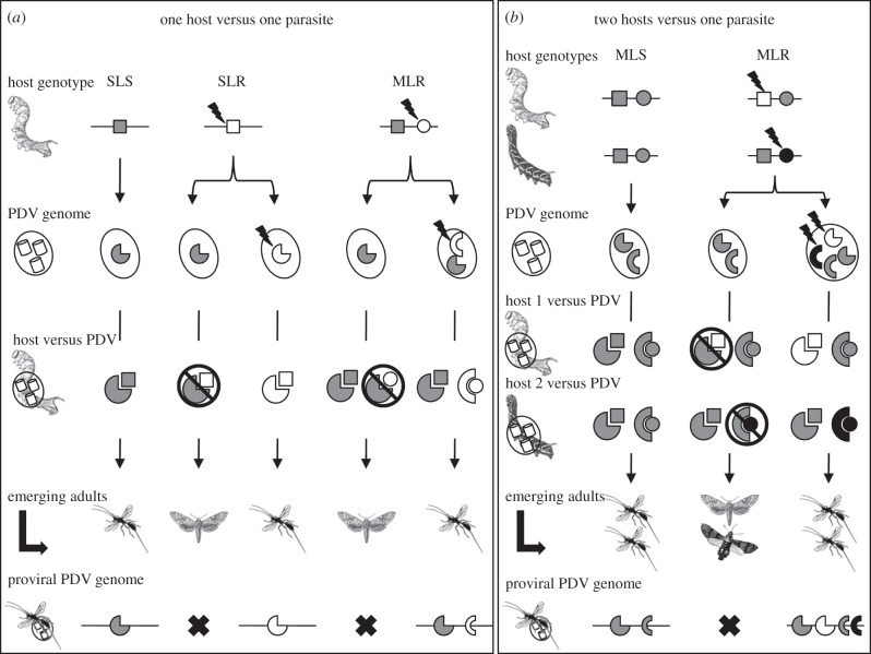 Figure 5.