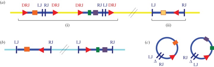 Figure 4.