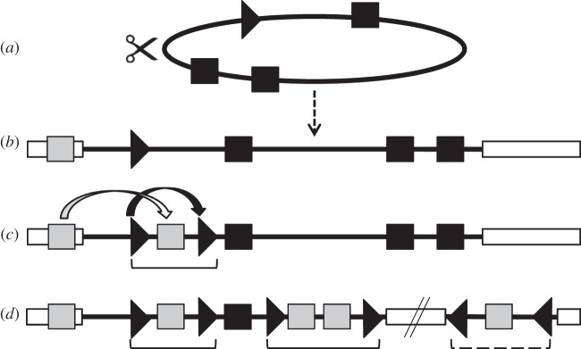 Figure 3.