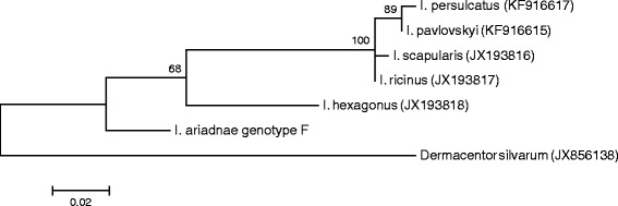 Figure 9