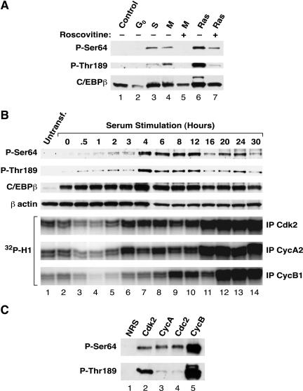 FIG. 7.