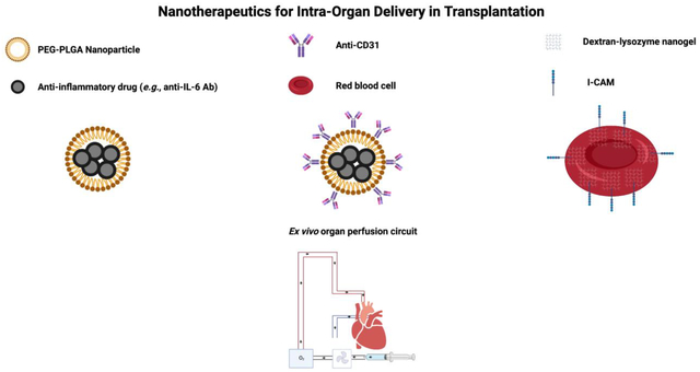 graphic file with name nihms-1755810-f0001.jpg