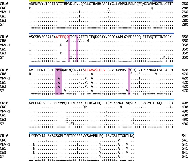 FIG 4