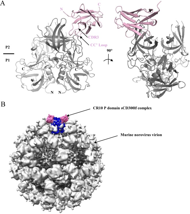 FIG 2