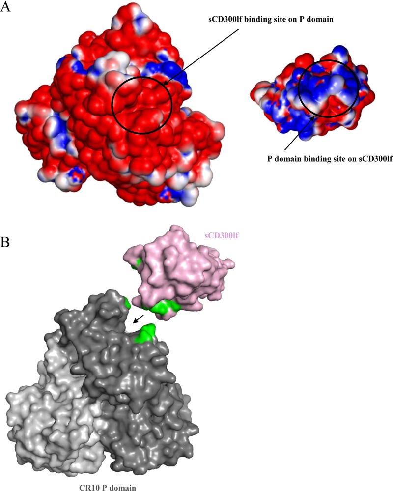 FIG 6