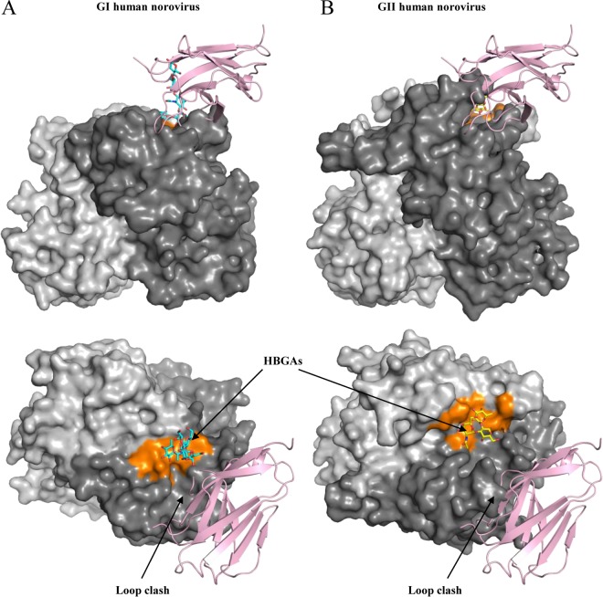 FIG 9