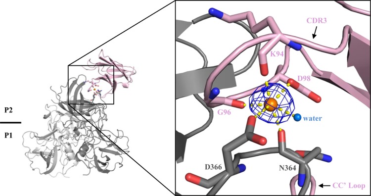 FIG 5