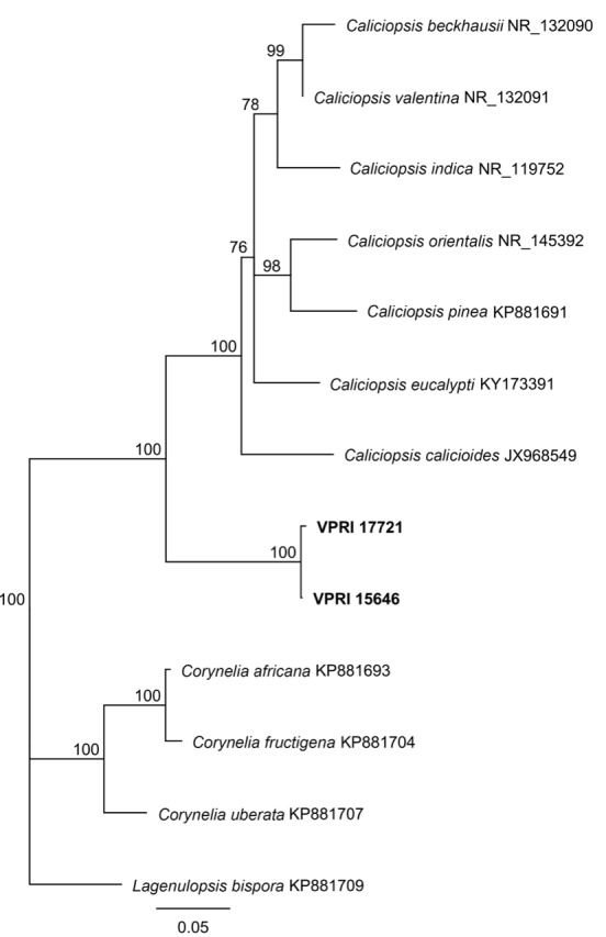 Fig. 8.
