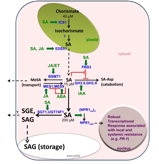 Figure 3.