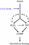 Figure 9.