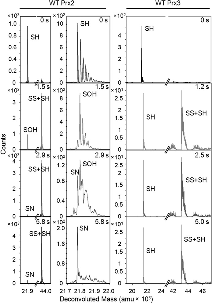 FIGURE 3.