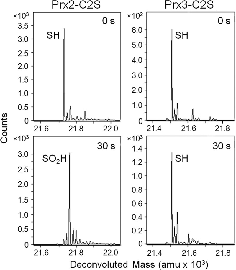 FIGURE 4.