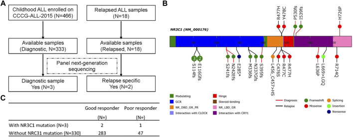 FIGURE 1