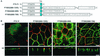 FIG. 6.