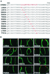 FIG. 4.