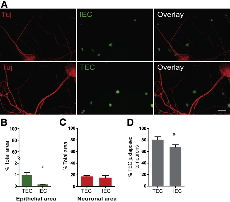 Figure 4