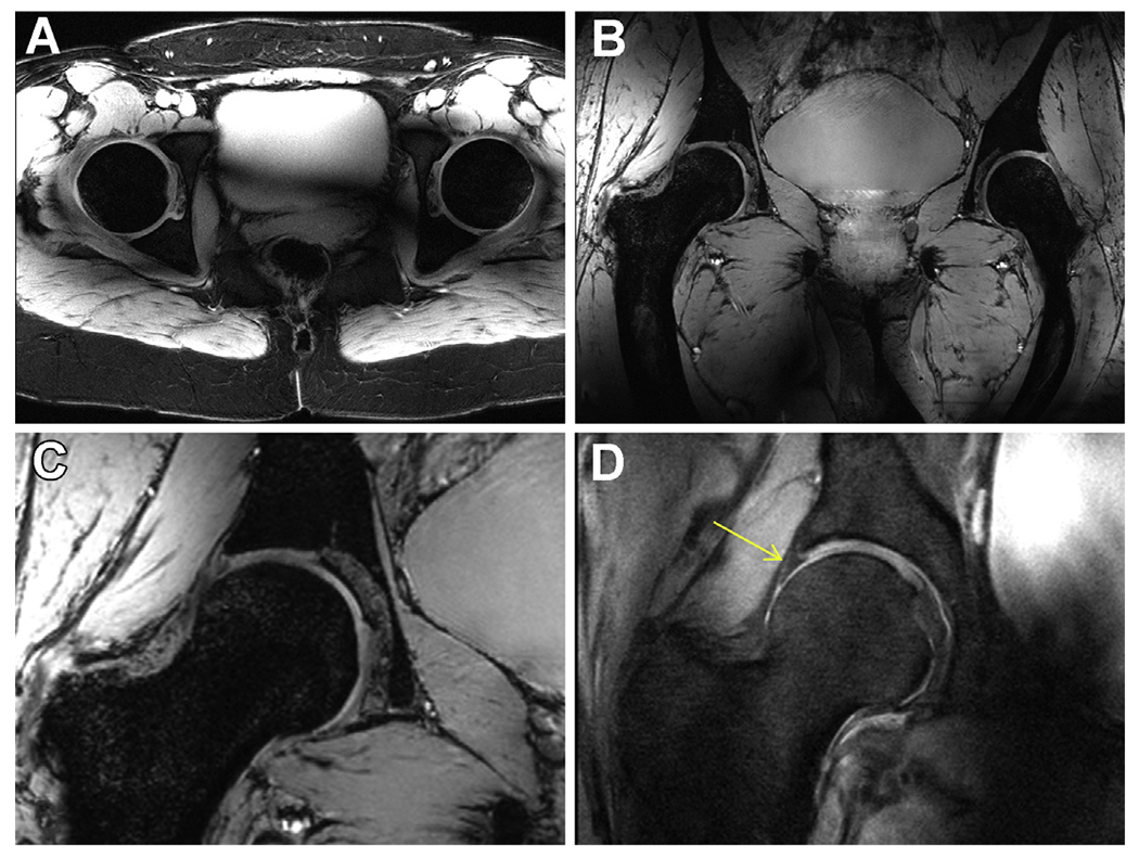 Fig. 9.