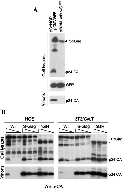 FIG. 3.