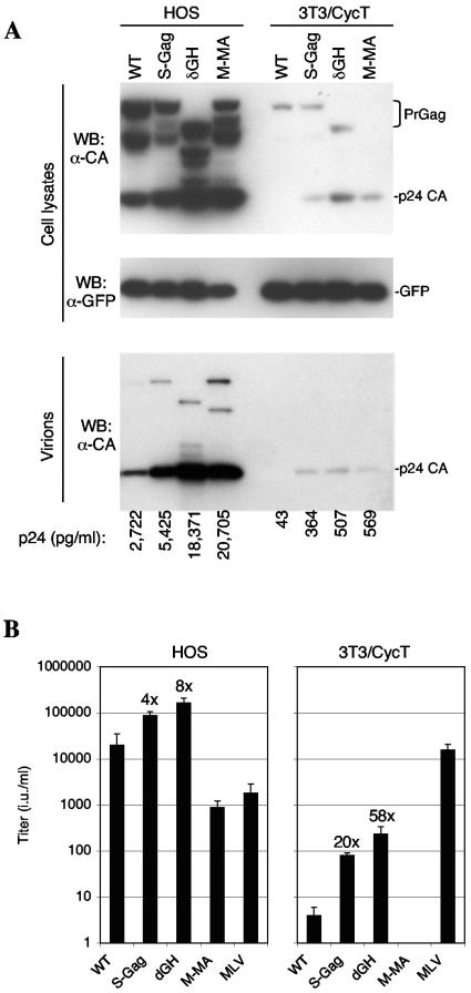 FIG. 2.