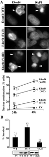 FIG. 7.