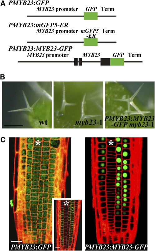 Figure 3.