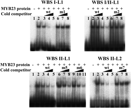 Figure 11.