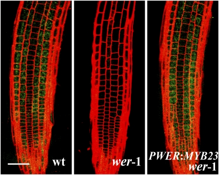 Figure 10.