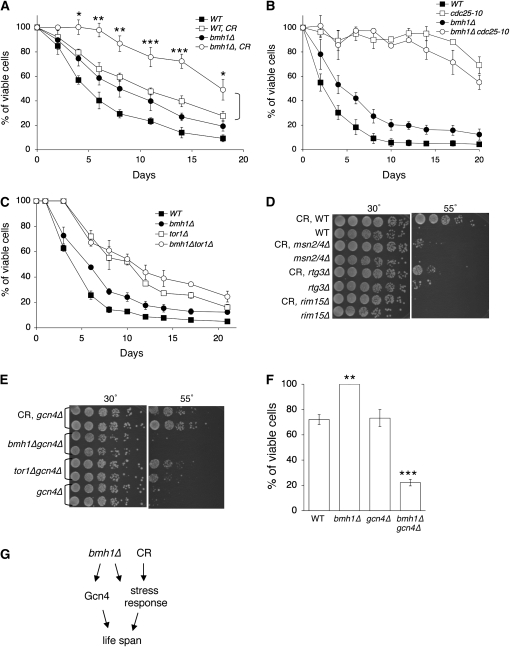 Figure 3.—