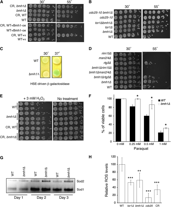 Figure 2.—