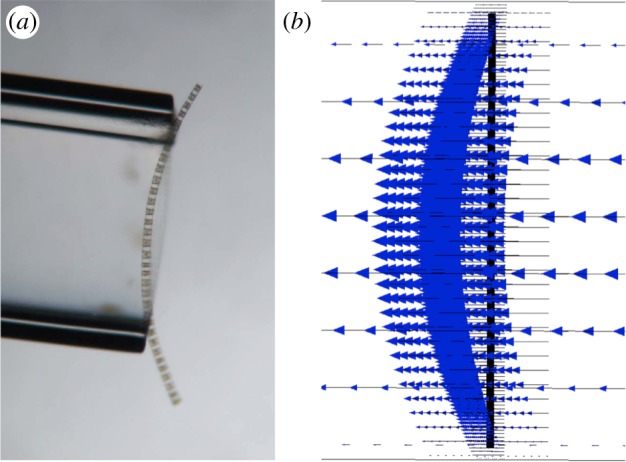 Figure 4.