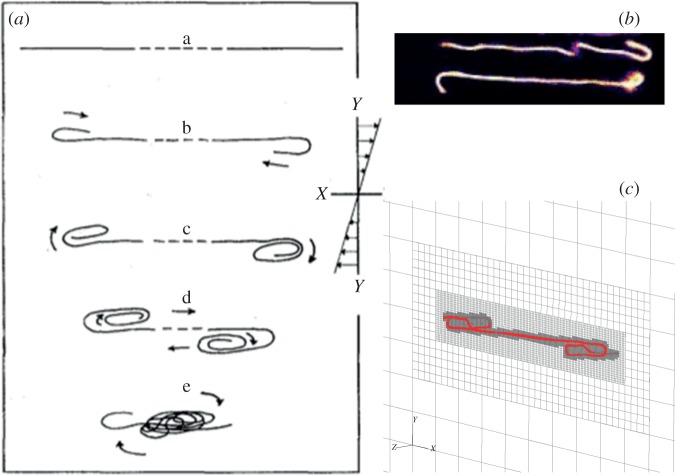 Figure 10.