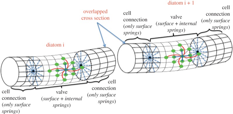 Figure 2.