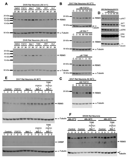 Fig 5