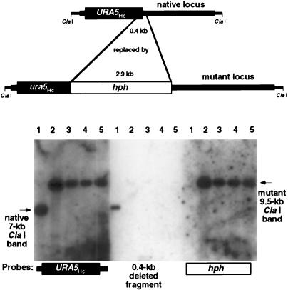 FIG. 6