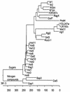 FIG. 3