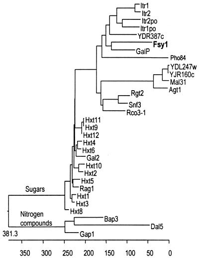 FIG. 3