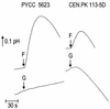 FIG. 1