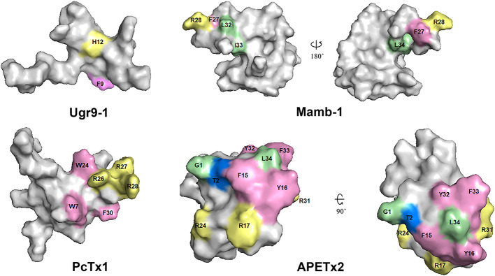 Figure 11