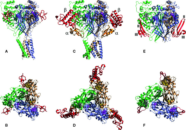 Figure 10